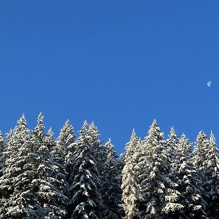 Ferienwohnung Kuckucksnest Bad Wildbad Kültér fotó