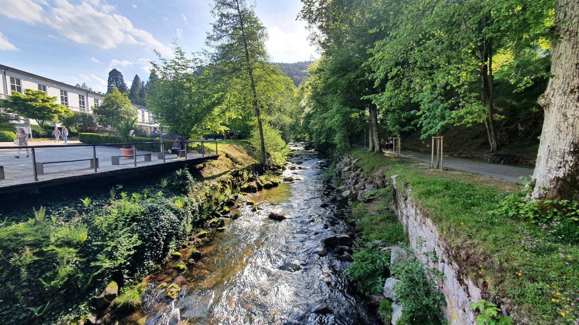 Ferienwohnung Kuckucksnest Bad Wildbad Kültér fotó