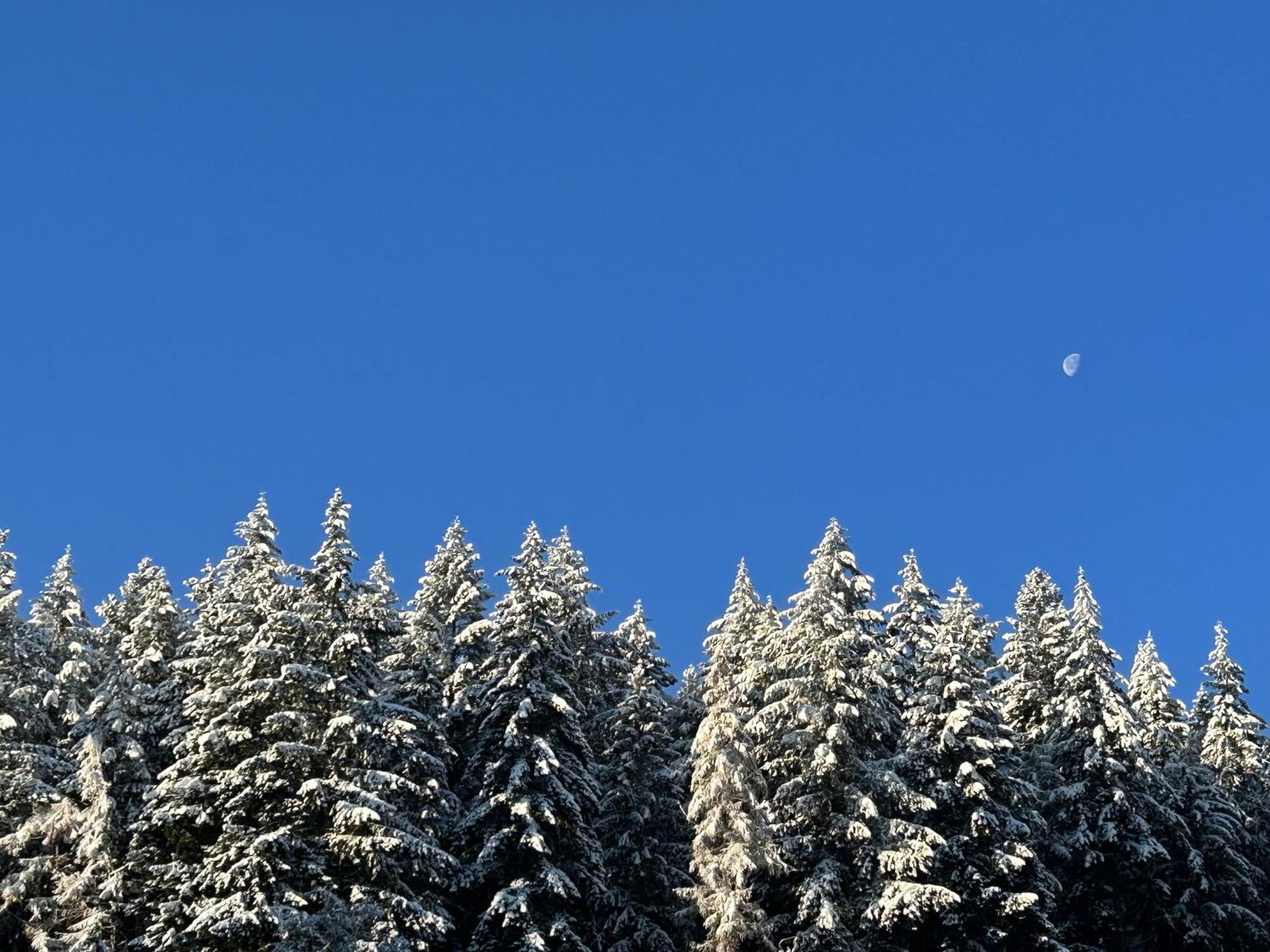 Ferienwohnung Kuckucksnest Bad Wildbad Kültér fotó