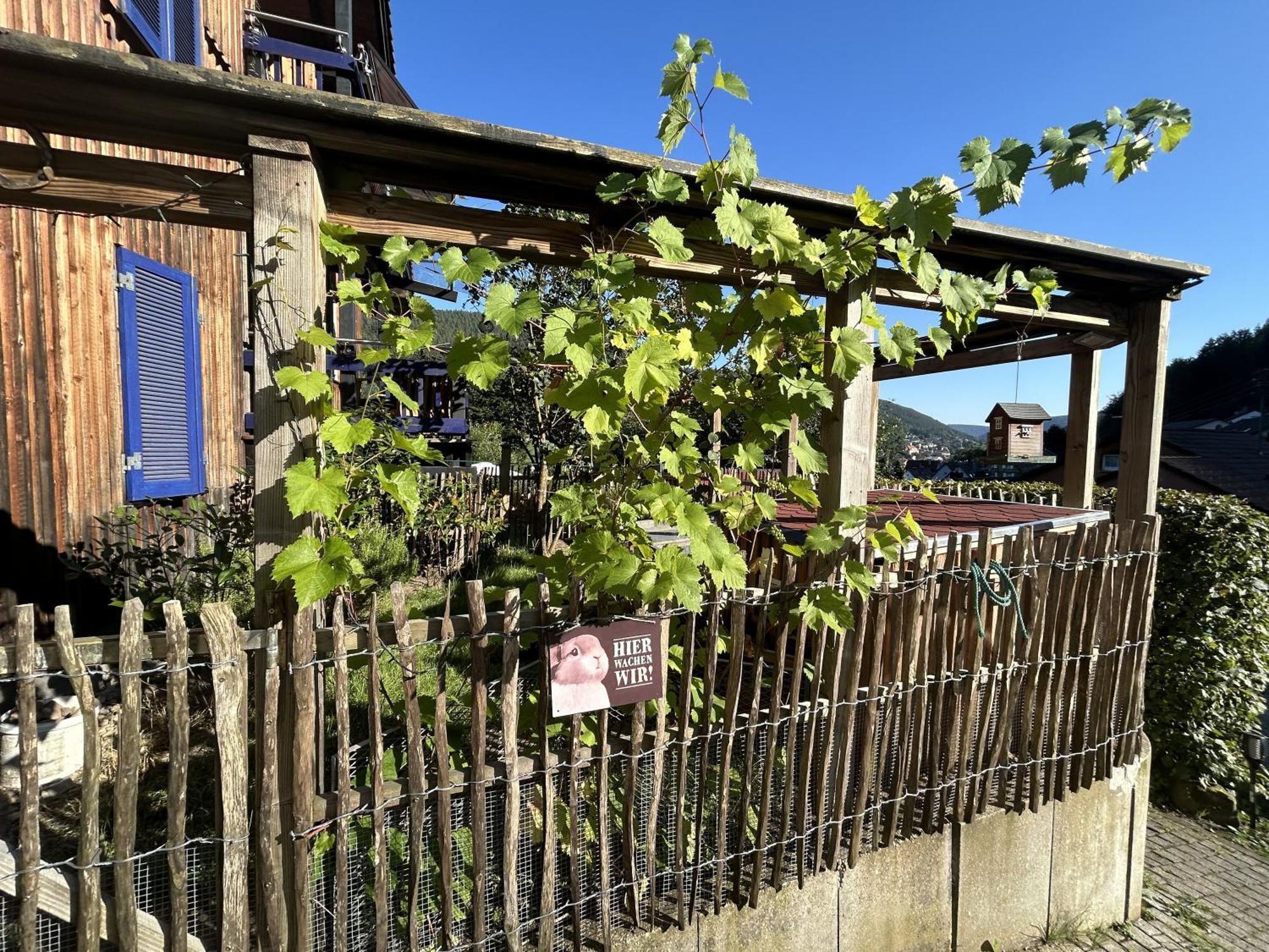 Ferienwohnung Kuckucksnest Bad Wildbad Kültér fotó